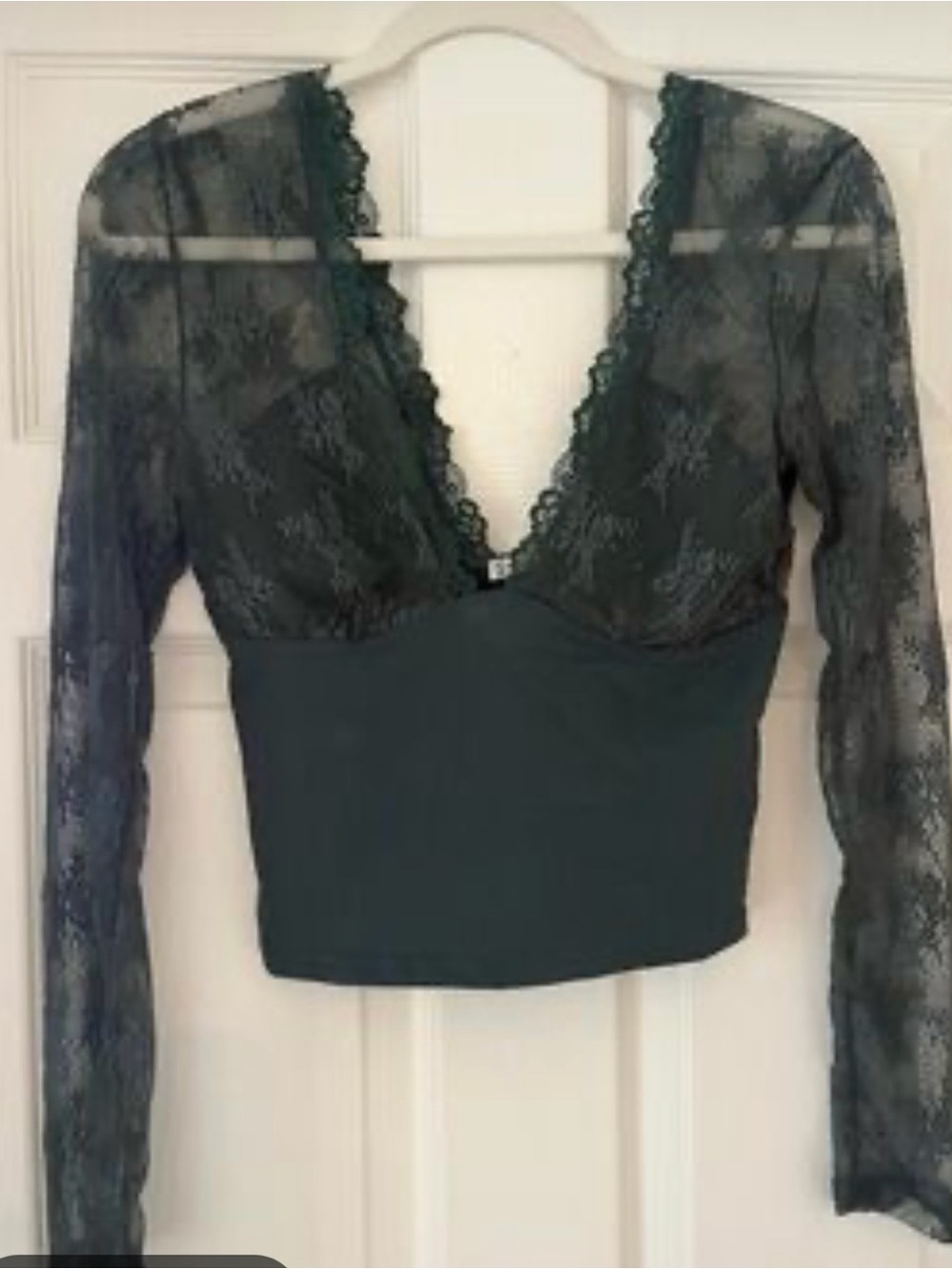 Free People Twyla lace sleeved top